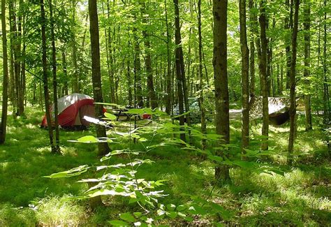 nicolet national forest camping|nicolet national forest campgrounds.